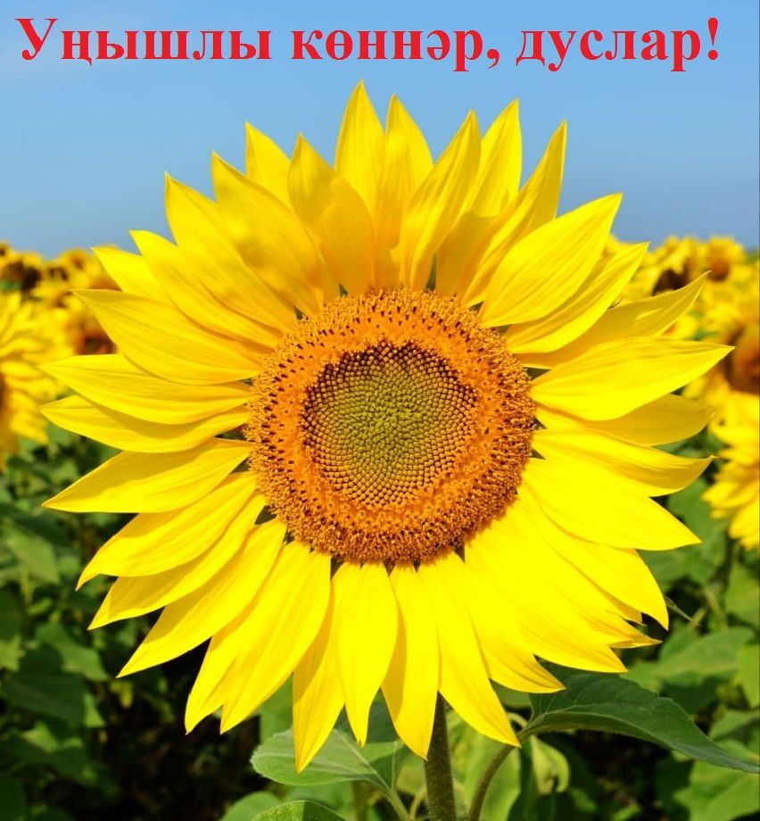 Картинки хәерле иртә