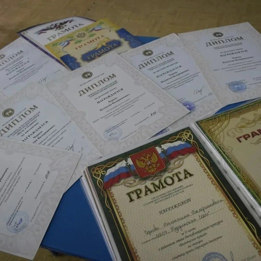 Ученик школы села Бурды Валентин Чернов выиграл олимпиаду по математике