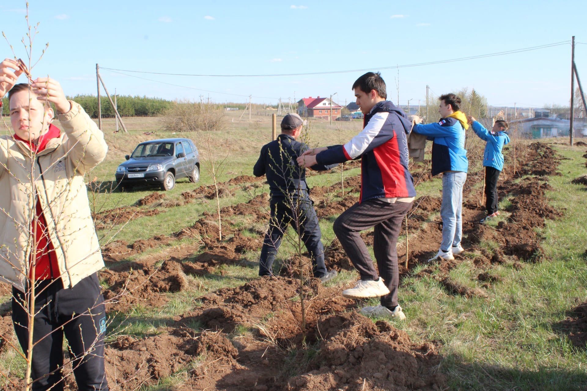 В Мунайкинском сельском поселении высадили 77 деревьев