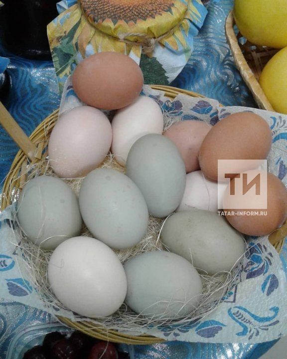 Хуҗабикәләргә тормышта кирәкле киңәшләр