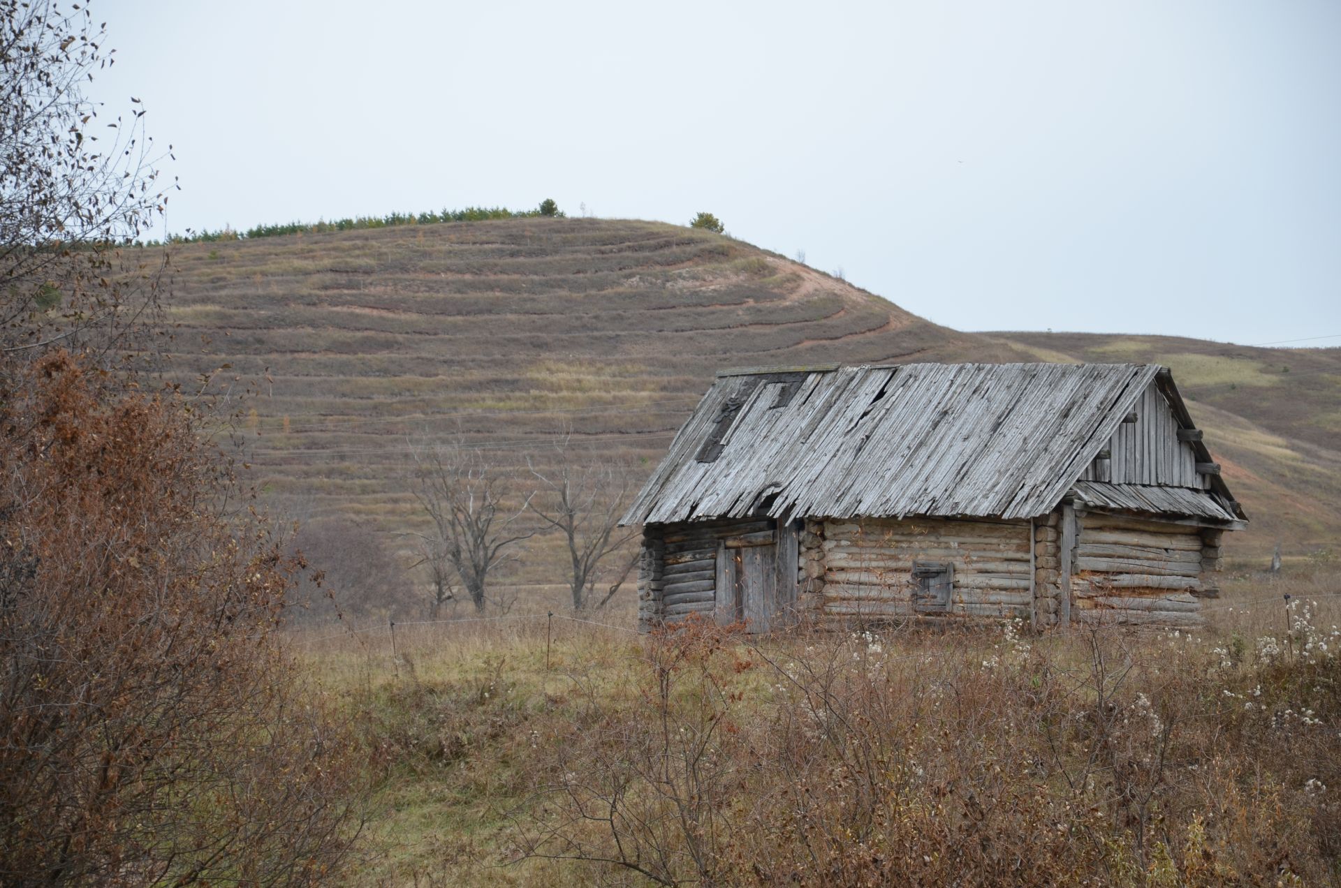 Мамадыш районының Владимир авылыннан фоторепортаж