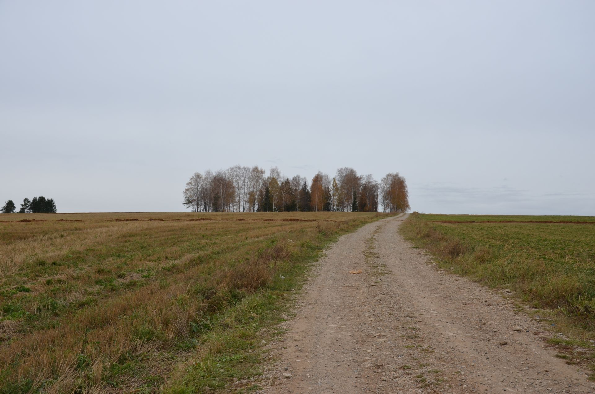 Мамадыш районының Владимир авылыннан фоторепортаж