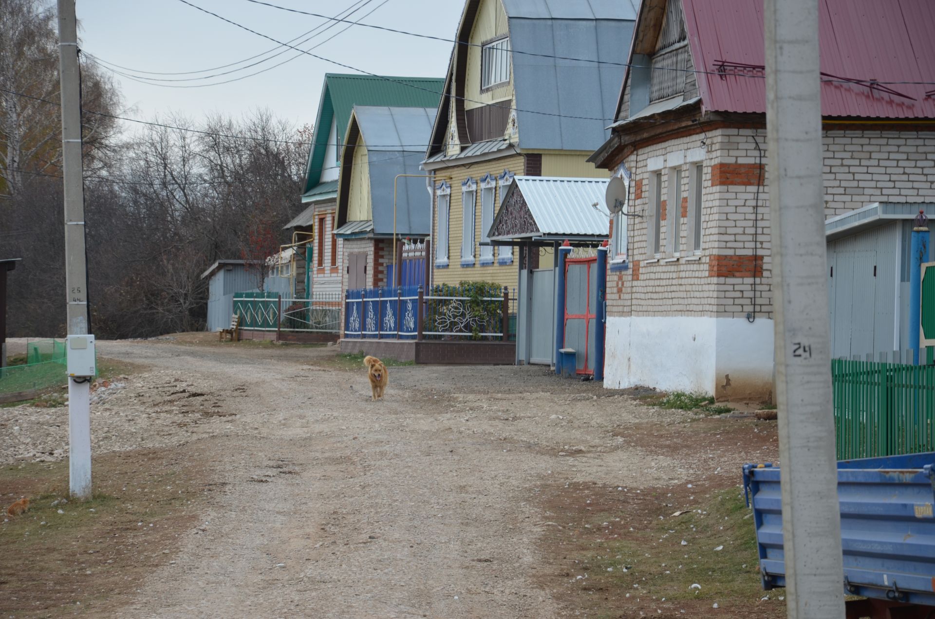 Мамадыш районының Владимир авылыннан фоторепортаж