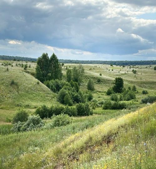 Петр Кузьминның туган авылы – Багражга багышлап язылган нәсере