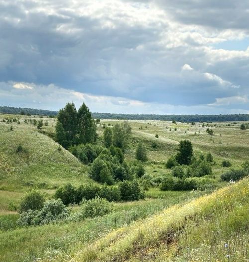 Петр Кузьминның туган авылы – Багражга багышлап язылган нәсере
