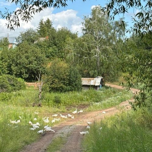 Кайда гына яшәсәң дә, балачакның хәтирәләре туган якларга алып кайта