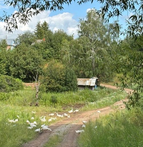 Кайда гына яшәсәң дә, балачакның хәтирәләре туган якларга алып кайта