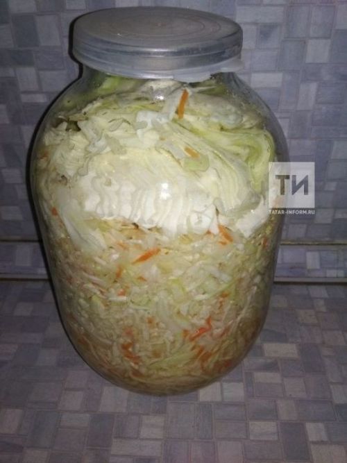 Алма белән кәбестә тозлау ысулы