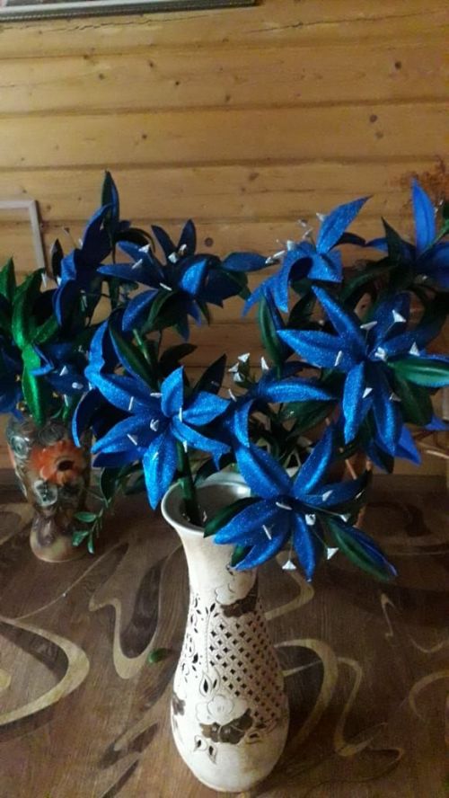 Зәйдә яшәүче Екатерина Лабашова - йөз төрле һөнәр иясе