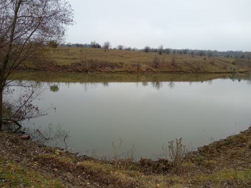Иске Тәрбиттә балалар көзге табигатьтә сәяхәттә булганнар