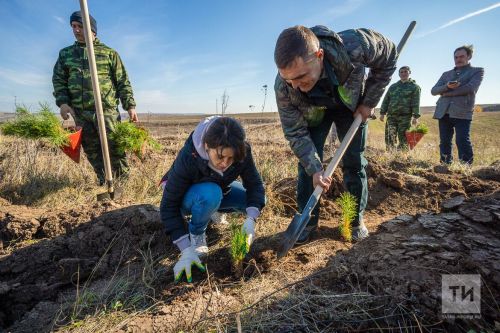 Татарстанда агач утырту акциясе узачак