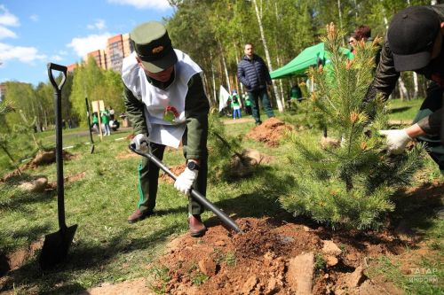 «Хәтер бакчасы» акциясе барышында республикабызда 1,5 миллион агач үсентесе утыртылды