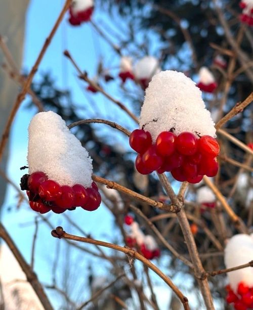 Февраль ае буранлы икән, августта яңгыр көт (сынамышлар)