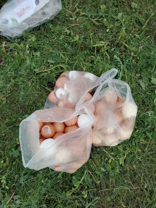 «Ботка пешерү ул туклану гына түгел»: Сәвәләйдә Боламык бәйрәме узган