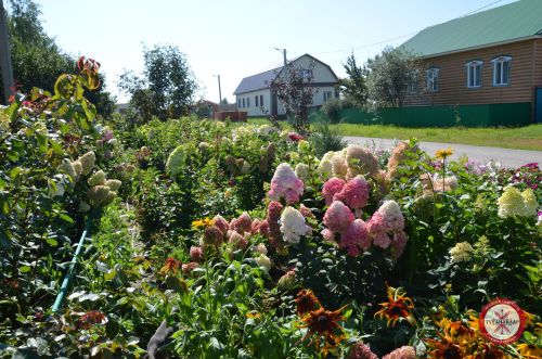 Поршур һәм Село-Чура авылының белем бәйрәмнәре