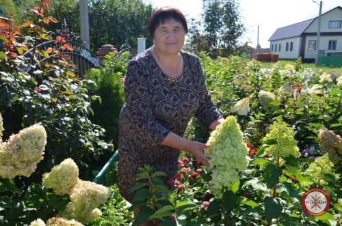 Поршур һәм Село-Чура авылының белем бәйрәмнәре