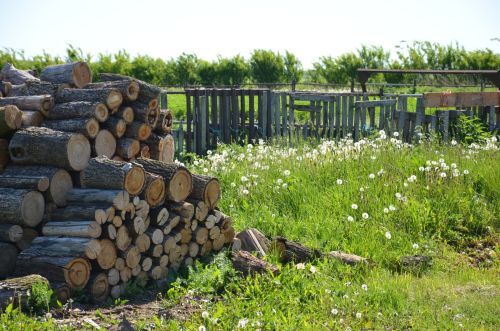 Сарман районының Ләке, Дружба һәм Түбән Чыршылы авыллары