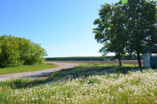 Сарман районының Ләке, Дружба һәм Түбән Чыршылы авыллары
