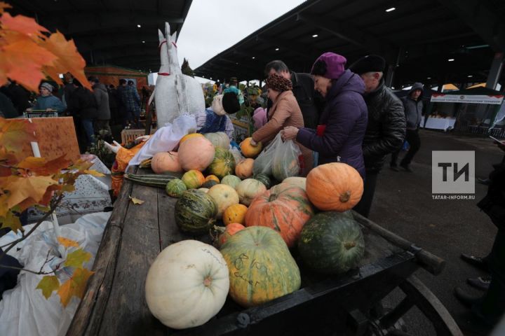 В городах Татарстана 8 декабря пройдут сельхозярмарки
