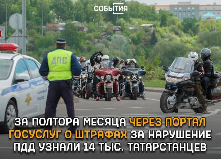 За полтора месяца через портал госуслуг о штрафах за нарушение ПДД узнали 14 тыс. татарстанцев
