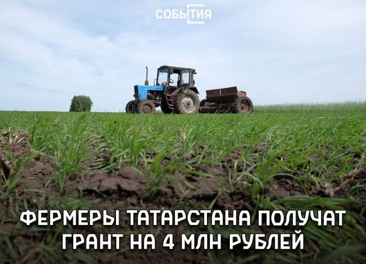 Фермеры Татарстана смогут получить гранты до 4 млн рублей в рамках нацпроекта РФ