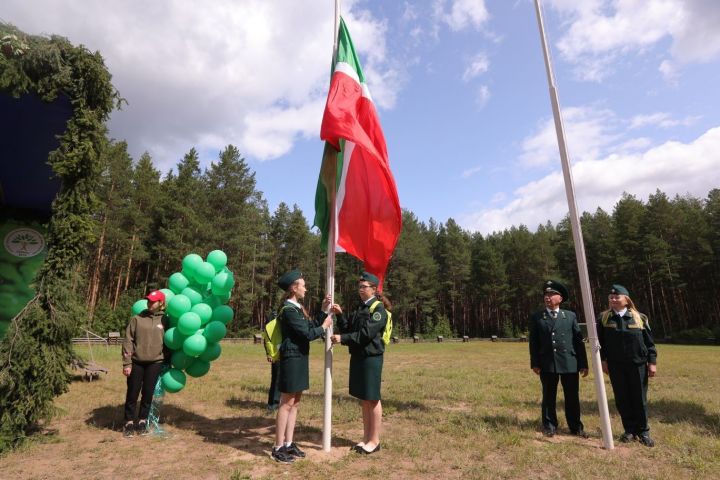 Татарстан станет пилотным регионом программы по озеленению берегов Волги