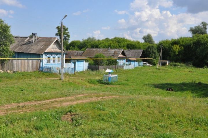 История исчезнувшей деревни Новое Гришкино