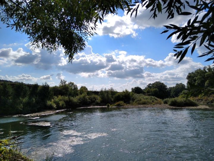 Вдоль реки Меши к Волге (3 часть)