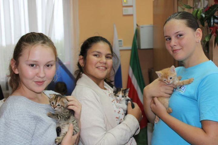 В Мунайкинском СДК прошёл час творчества для детей, посвященный «Всемирному дню кошек»