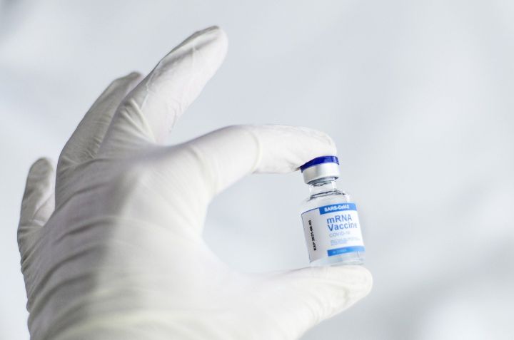 Коронавируска каршы вакцинаны мәҗбүри ясату туктатыла