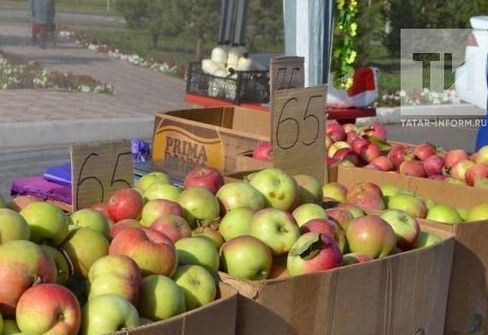 Татарстанда урамда сәүдә иткән өчен штрафларны арттырырга планлаштырыла