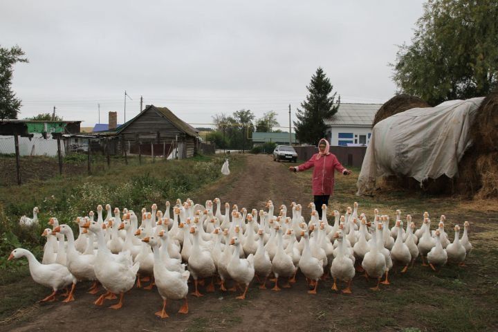 Кадрәк авылы тарихыннан