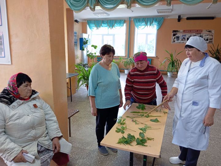 В Верхнебагряжском СДК прошла программа посвященная лекарственным травам
