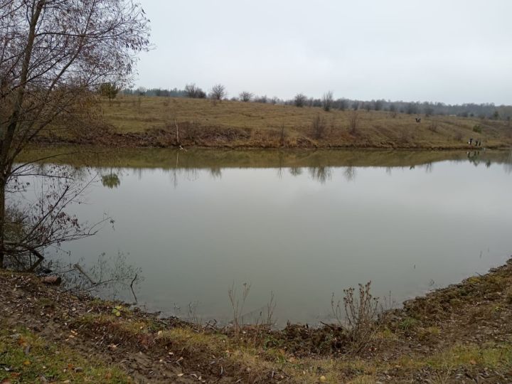 Иске Тәрбиттә балалар көзге табигатьтә сәяхәттә булганнар