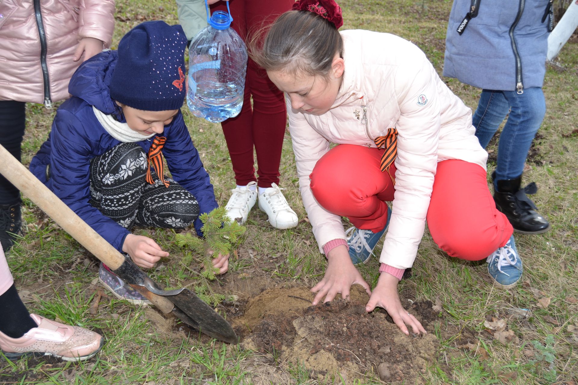 Посади дерево область. Школьники сажают деревья. Посадка деревьев в Мамадыше. Посадка деревьев школьниками. Акция посади дерево в детском саду.