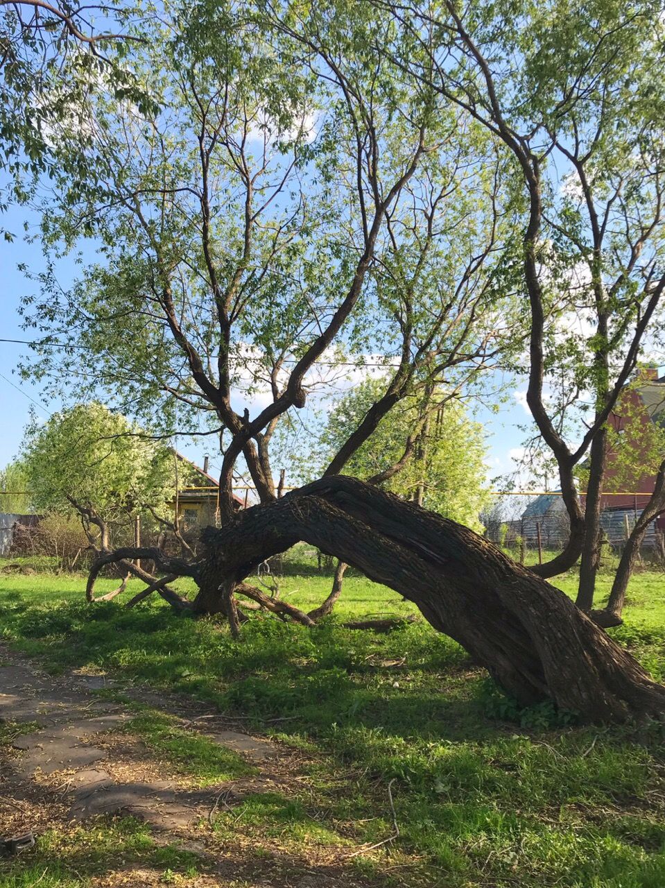 В селе Князево организовали онлайн-выставку фотографий весенней природы