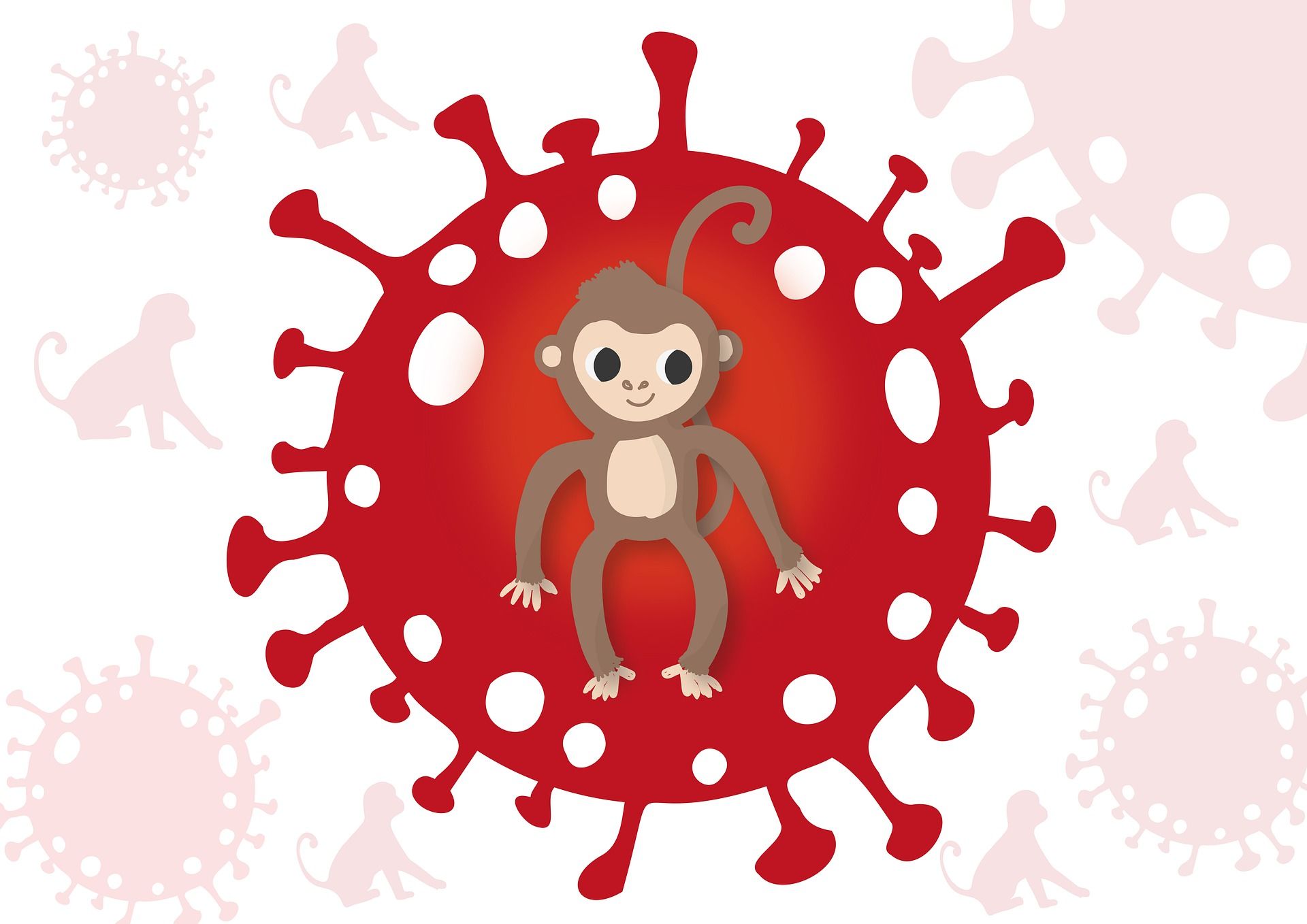 Обезьяний герпес. Monkeypox virus (оспа обезьян).