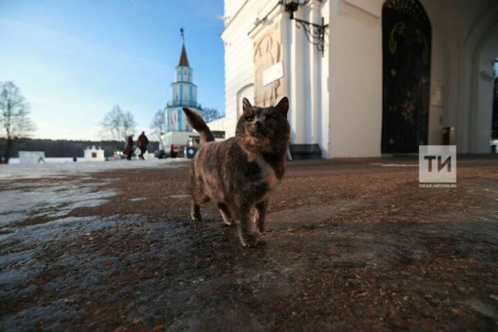 Эксперты рассказали, когда в Татарстан придёт весна