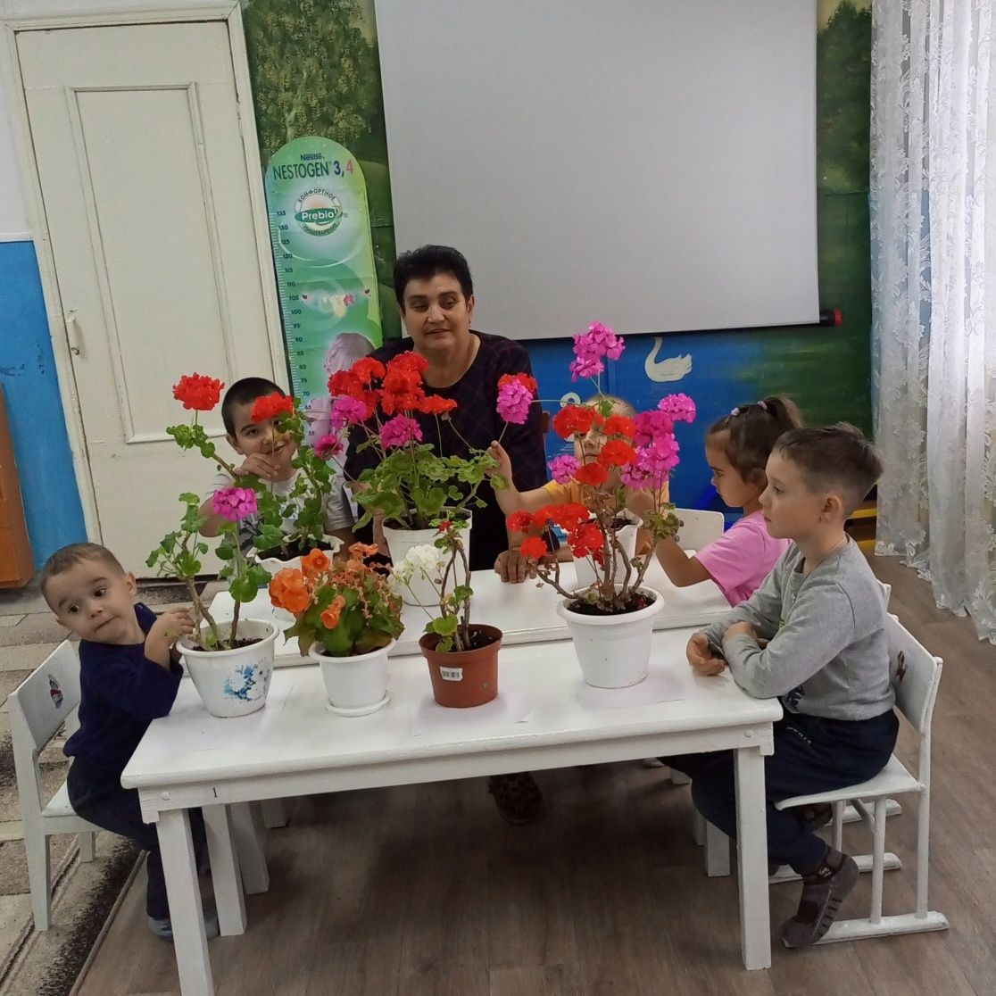 Үрәсбаш балалар бакчасындагы табигать почмагы чәчәкләргә бик бай