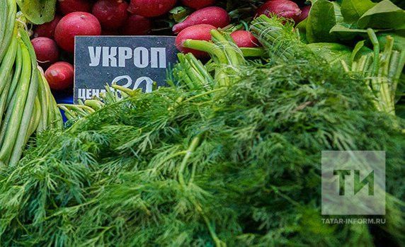 Укропның файдасы