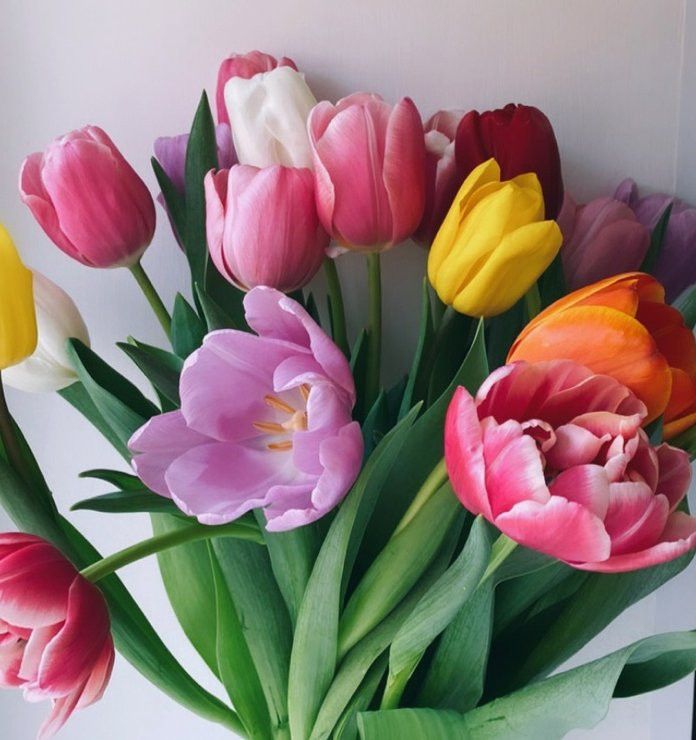 8 мартка нәрсә бүләк итәргә (идеяләр)