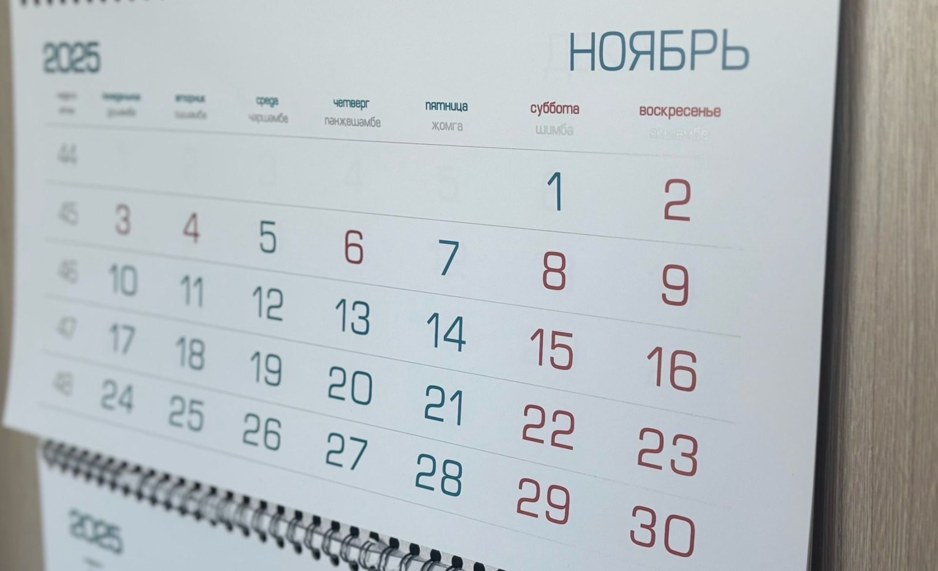 Ноябрьдә ничек ял итәбез?