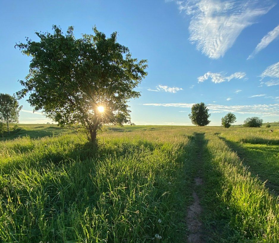 Георгий Ибушевның хикәяләре: «Җәкәүнең «ак ташлары»; «Нигә мин тургай булмадым икән»