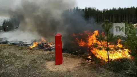 Урман хуҗалыгы министрлыгында учак ягуны һәм чүп яндыру тыюлуы хакында сөйләделәр