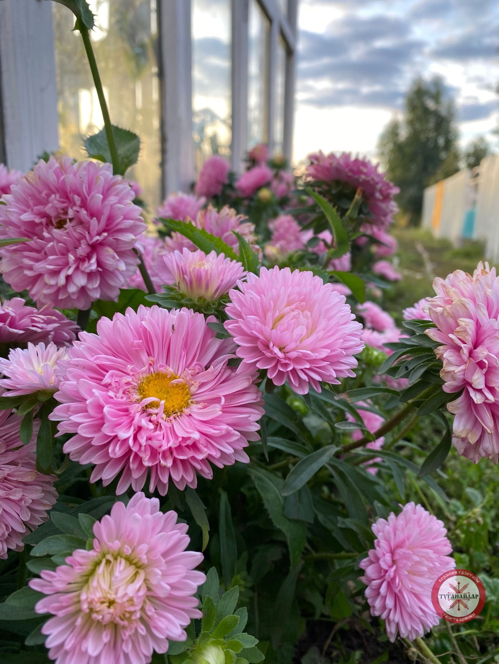 Сентябрьдә бакча эшләре