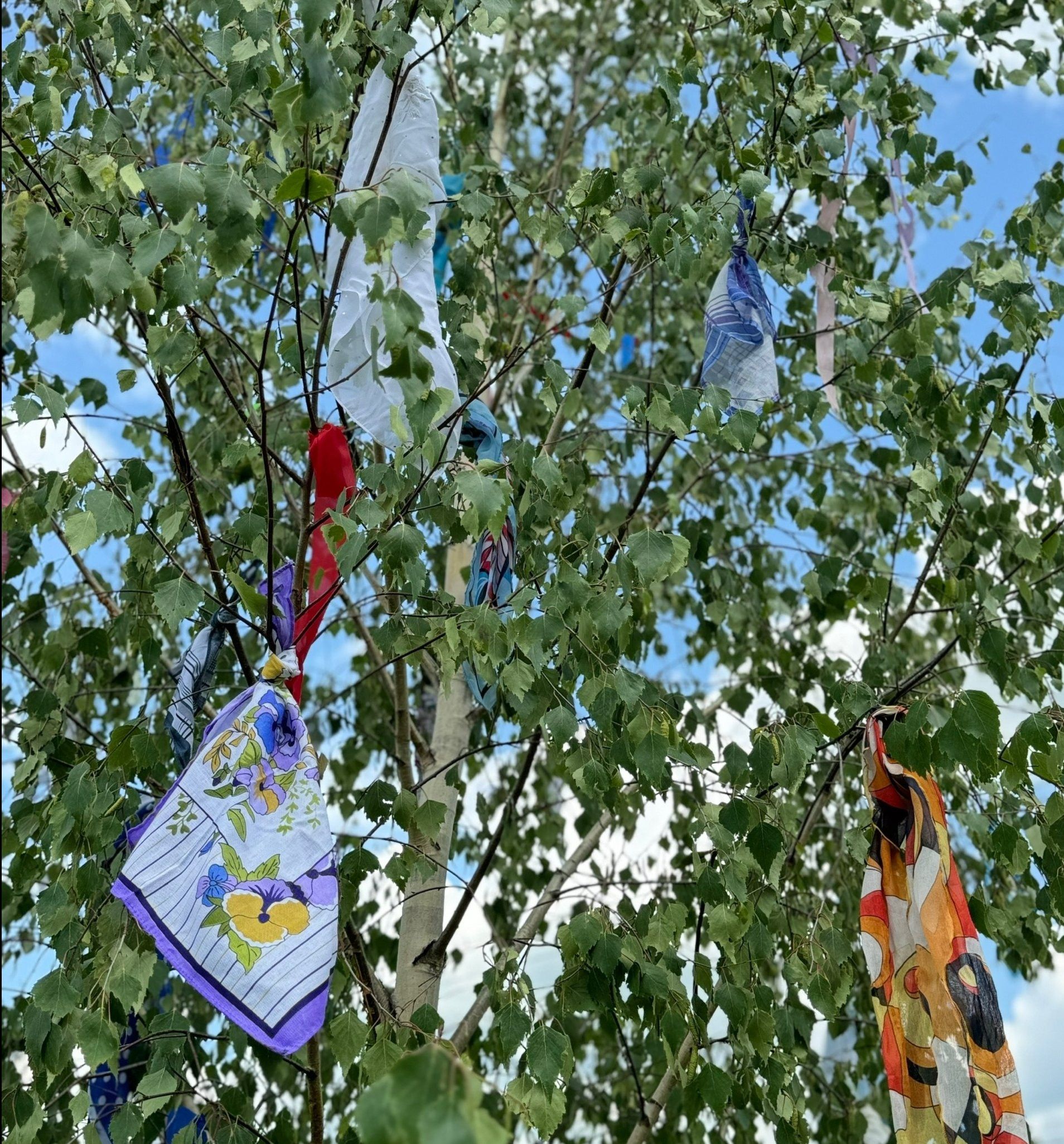 Тройсын (хикәя)