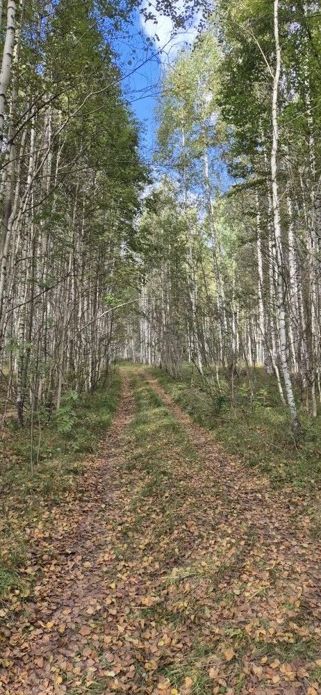 Колышчы авылыннан Валентина Максимовадан көзге матур фотолар