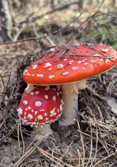 Колышчы авылыннан Валентина Максимовадан көзге матур фотолар