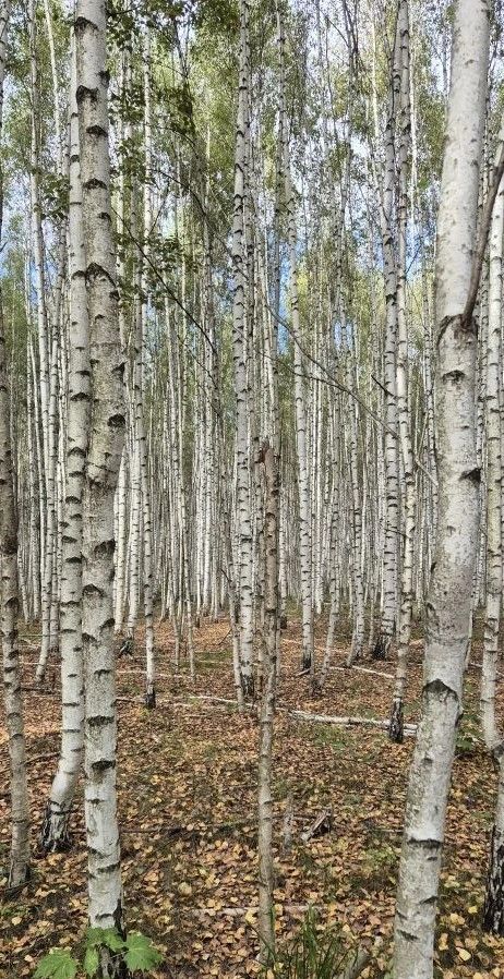 Колышчы авылыннан Валентина Максимовадан көзге матур фотолар
