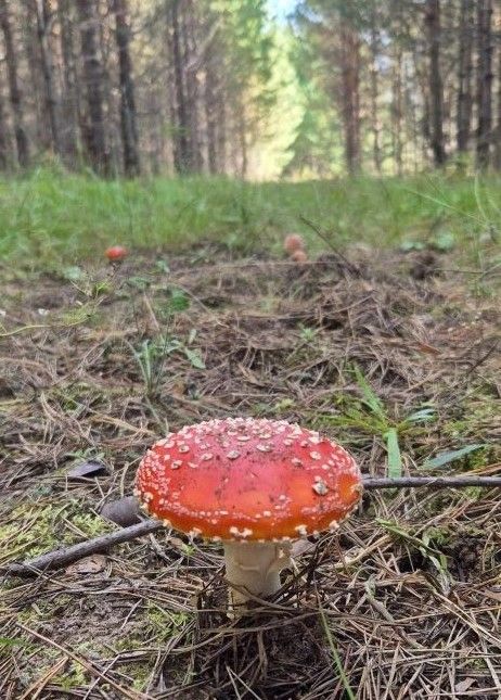 Колышчы авылыннан Валентина Максимовадан көзге матур фотолар